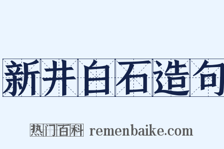 新井白石造句是什么意思的图片
